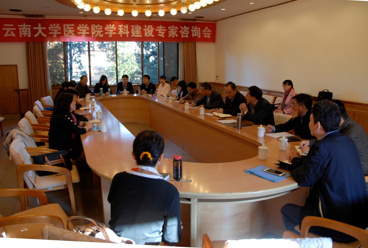 医学院召开医学学科建设专家咨询会